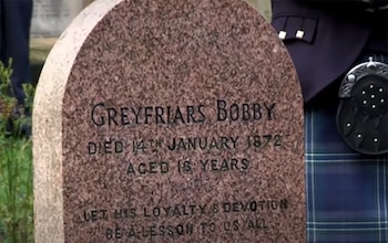 Bobby permaneció junto a la