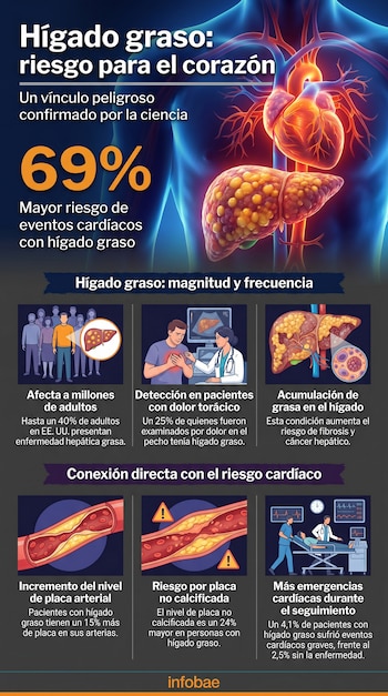 Infografía sobre el vínculo entre hígado graso y riesgo cardíaco. Muestra un torso con corazón e hígado, un 69% de riesgo, personas, exámenes médicos y arterias con placa.