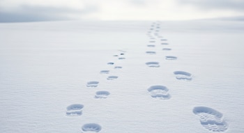 Primer plano de huellas de botas en la nieve fresca, con una hilera de huellas más pequeñas al lado de una de huellas más grandes que se pierden en la distancia.