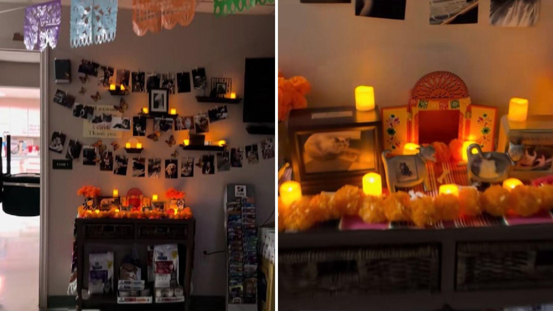 Veterinaria estadounidense crea ofrenda de Día de Muertos para mascotas fallecidas y se vuelve viral