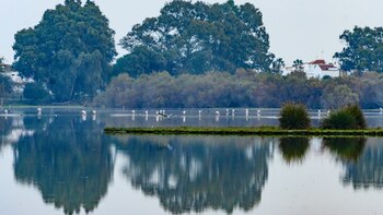 El Parque de Doñana, fuera