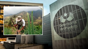 Defensoría pidió reforzar vigilancia de la reforma rural tras quedar por fuera de la verificación de la ONU: “Debe continuar siendo una prioridad”
