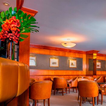 Los jugadores pueden disfrutar de