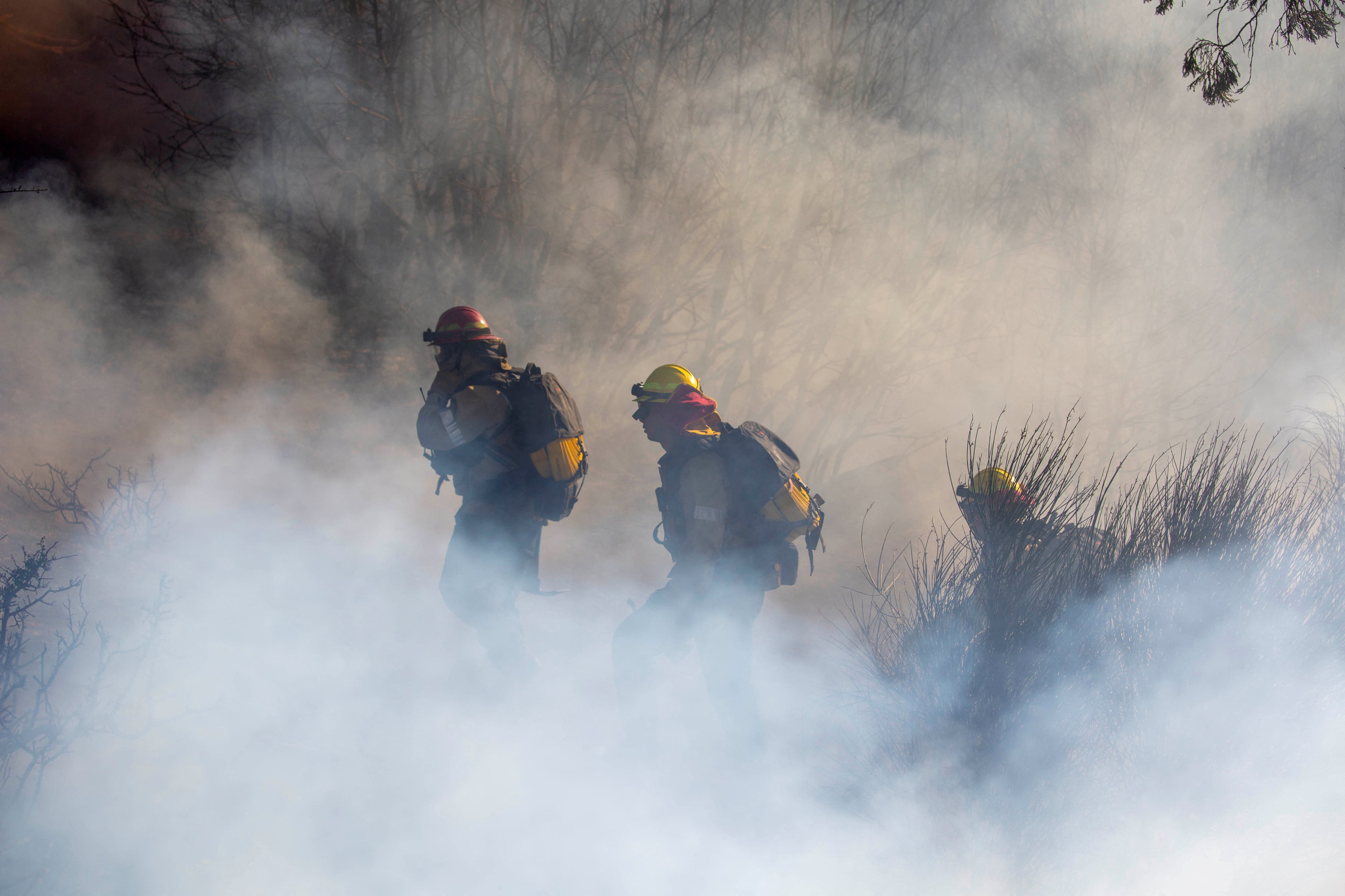 La sequía excepcional y las altas temperaturas son las principales causas de la oleada de incendios en el sur de Georgia. (REUTERS/Ringo Chiu)