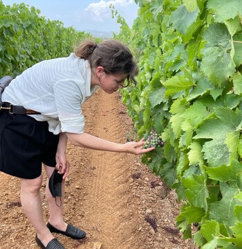 Entre sus distinciones se encuentran