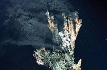 Ubicado en la placa de