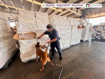 Confiscan más de 10 millones de cigarros escondidos entre cajas de vasos de vidrio en la aduana de Lázaro Cárdenas, Semar