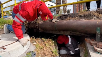 Hallaron un apartamento de lujo debajo de un puente en el norte de Bogotá: había muebles, colchones y hasta tapetes