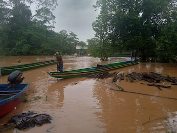 Los cultivos de maíz, arroz, yuca, plátano y cacao permanecen bajo el agua. La alcaldesa Gloria Chávez Bonilla pidió ayuda humanitaria para las familias afectadas. (Foto: Fuerzas Armadas)
