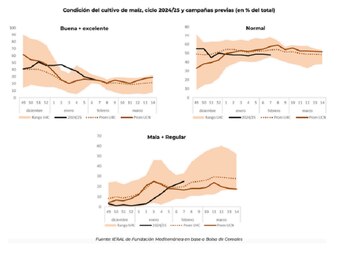 El informe de la Fundación