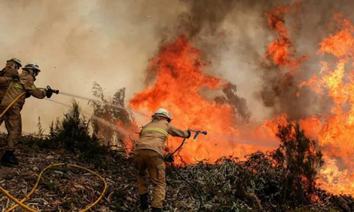 Compañeros de las víctimas no pudieron auxiliarlos tras el cambio en la dirección del viento. (Foto: Cuerpo de Bomberos Honduras)