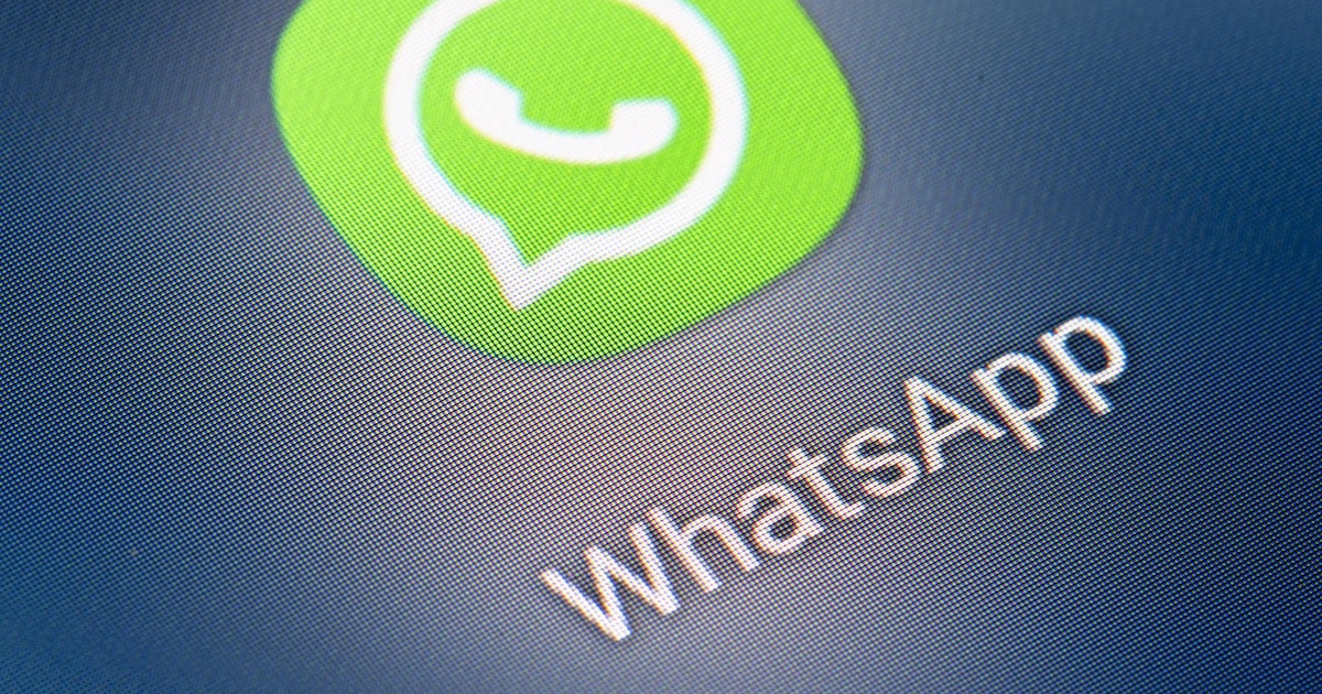 Photo: infobae.com How to Recover Deleted WhatsApp Messages on Android and iPhone