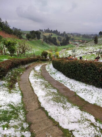 Granizada en Entrerríos. (Twitter)