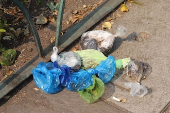 Los desechos orgánicos de las