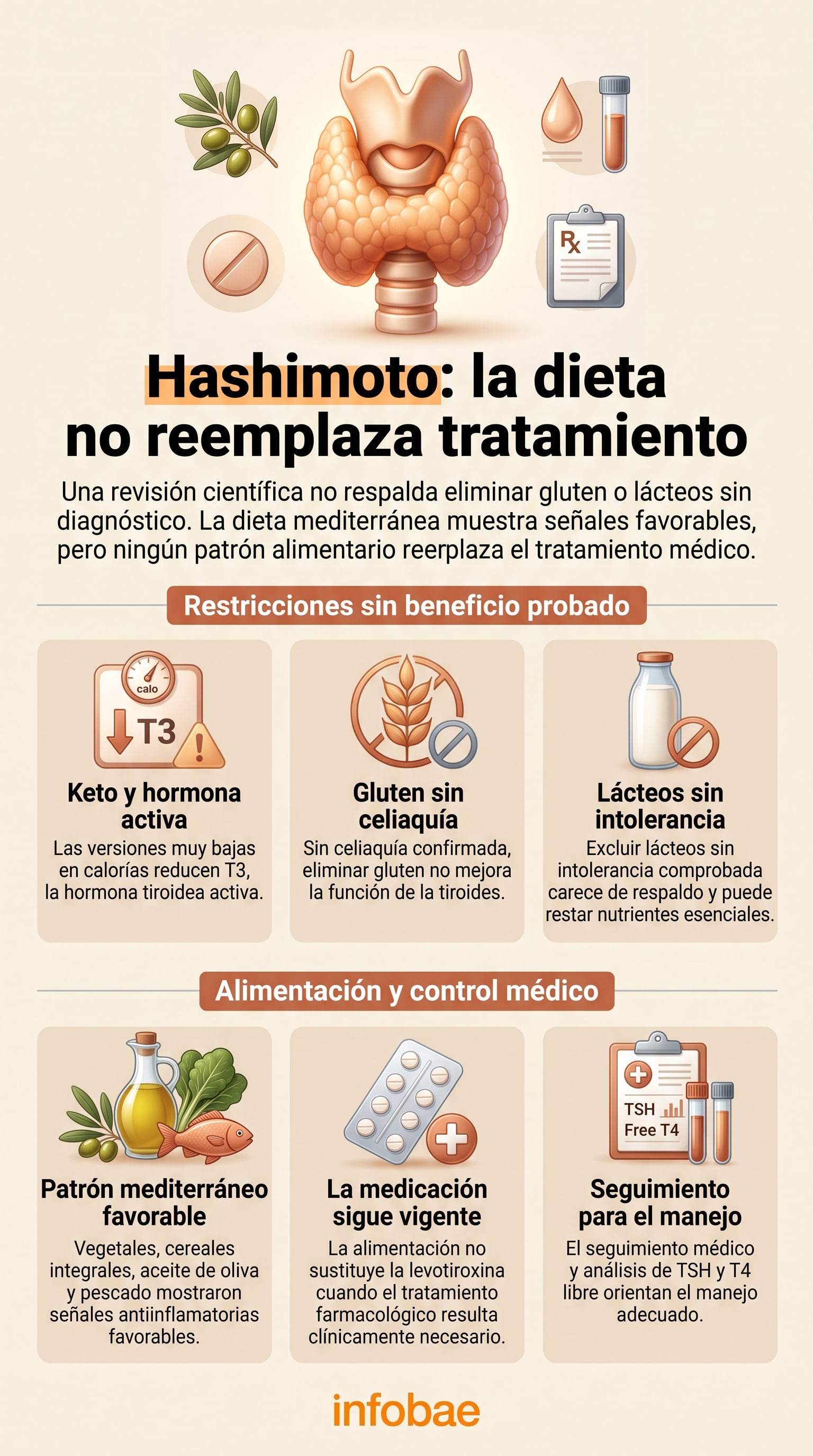 Un esquema médico expone el impacto de las pautas alimentarias y la necesidad del tratamiento farmacológico frente a la tiroiditis de Hashimoto (Imagen Ilustrativa Infobae)