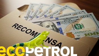 Piden congelar contratos en Ecopetrol por USD700 millones: pago de coimas implicaría a 10 funcionarios