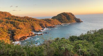 Los cetáceos que viven en