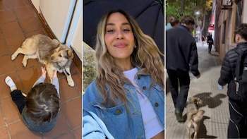 Jimena Barón compartió los primeros días de Lucy, la perrita que adoptó: "Te enamoras instantáneamente"