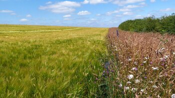 El monitoreo demostró que diversas