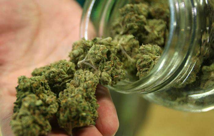 La normativa propuesta está basada en un decreto que no ha sido implementado plenamente y genera preocupaciones entre familias y autoridades - crédito AFP