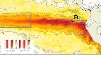 El Niño podría alcanzar una magnitud extraordinaria y extenderse hasta mediados del otoño de 2027, según el ENFEN