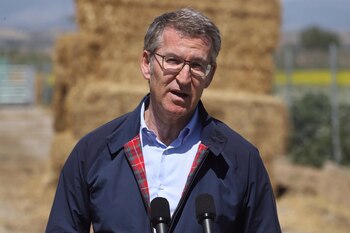 El líder del PP, Alberto