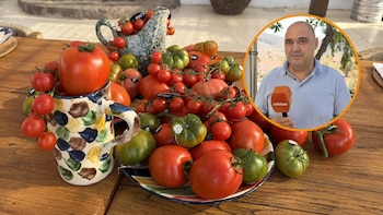 Federico Castellón, ingeniero agrícola: “Un buen tomate yo nunca lo metería en el frigorífico; lo pondría en una zona fresca de la casa”