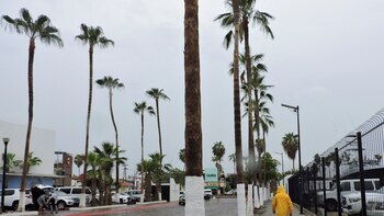 Cuándo y qué estados impactará