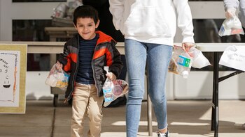 Todo lo que debes saber