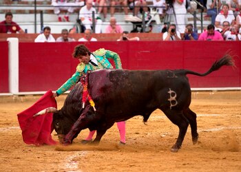 Un tribunal francés desestimó una
