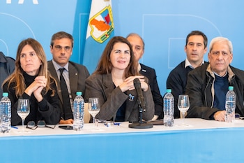 La intendenta de Moreno y vicepresidente 4° del PJ, Mariel Fernández (X: @marielfmoreno1)