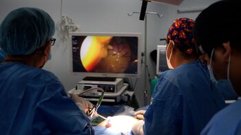 El hallazgo se produjo tras