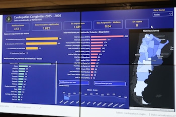 El Ministerio de Salud presentó
