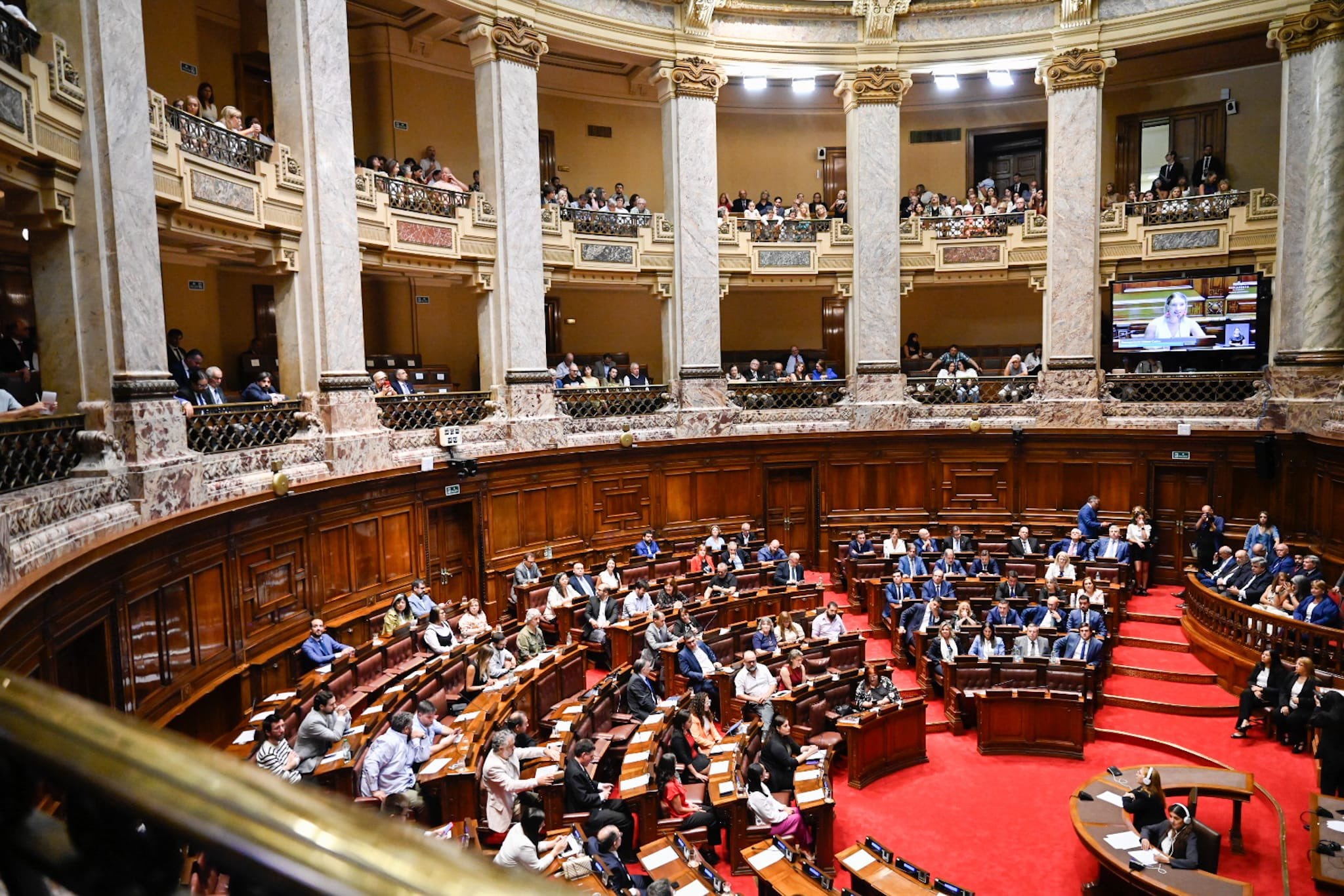 Legisladores de diferentes partidos políticos confirmaron que votarán el proyecto de ley de eutanasia