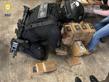 Tesla y Prada, las marcas