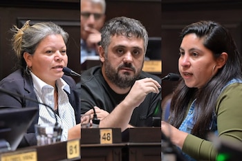 Diputados, Noelia Saavedra, Facundo Tignanelli, Cintia Romero