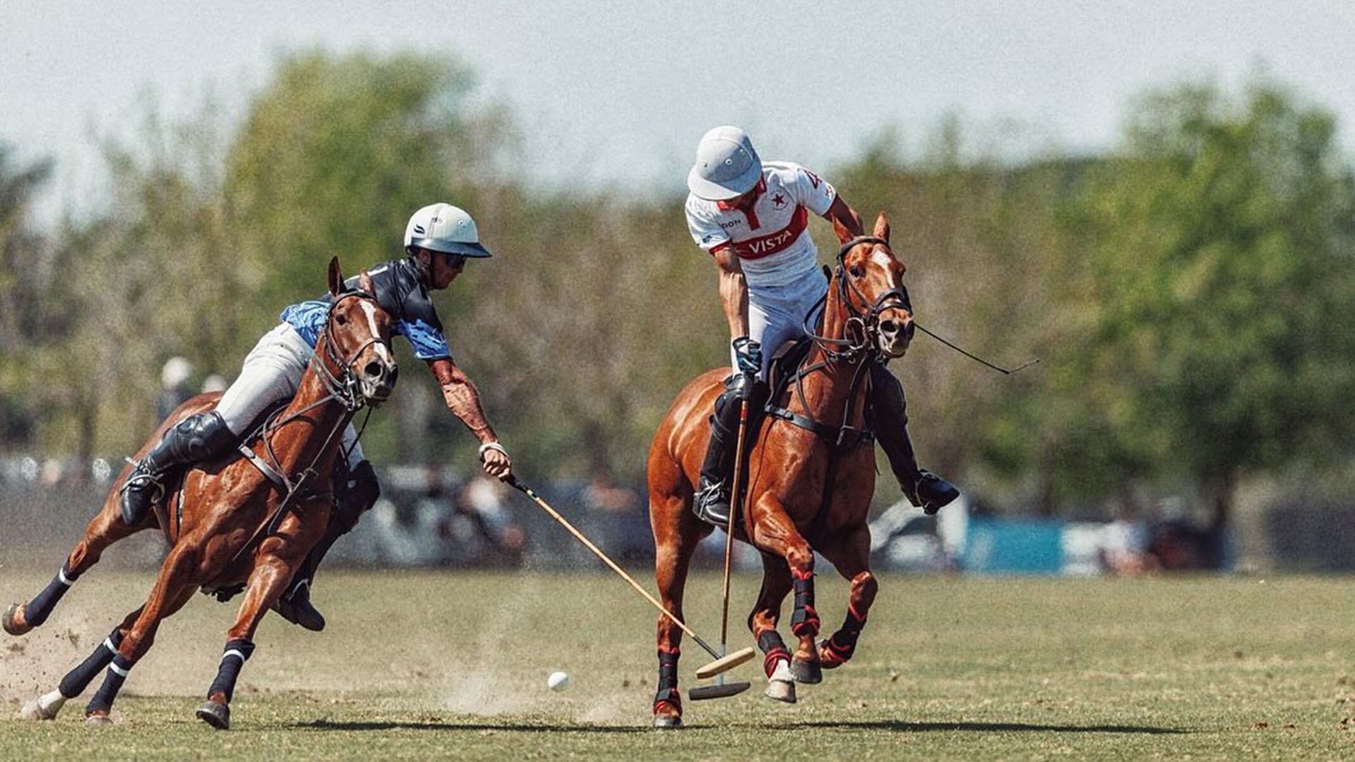 Argentina lidera la exportación mundial de caballos de polo con ventas por US$20,7 millones