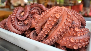 El pulpo se va de España y la caballa busca zonas más frías: los efectos del cambio climático alteran la pesca y el consumo