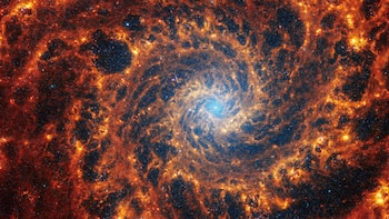 El hallazgo ayuda a explicar