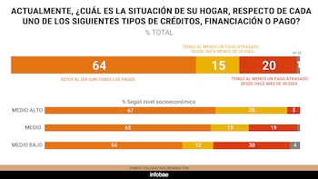 Gráfico con barras de colores que muestran porcentajes de pago de créditos al día y atrasados según el nivel socioeconómico de los hogares