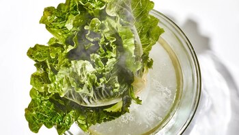 El agua de lechuga carece