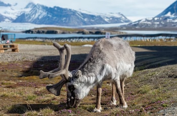 El programa de control de