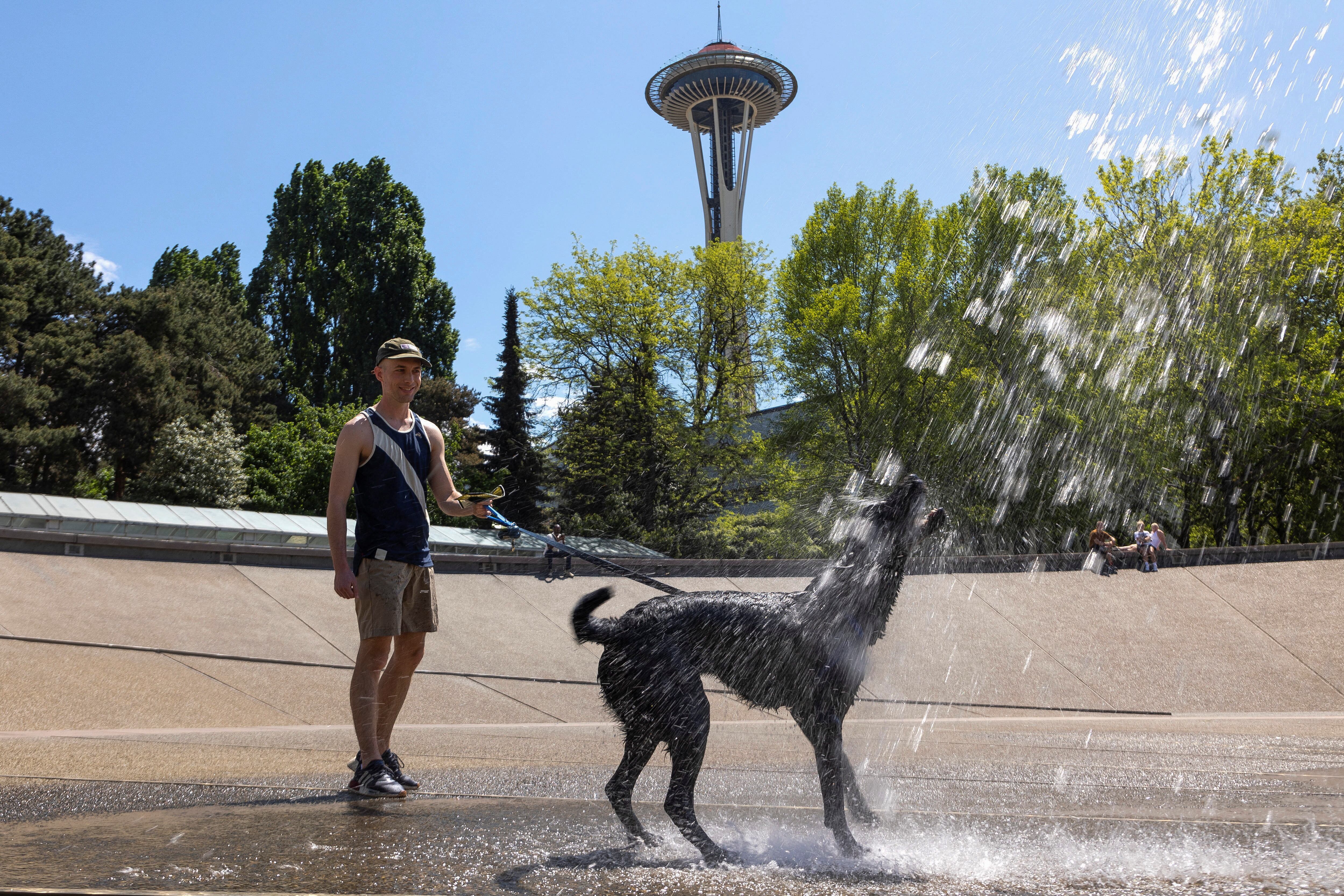 Ocasionalmente pueden presentarse algunas nevadas en Seattle durante el invierno, especialmente en las áreas más altas (REUTERS/Matt Mills McKnight)