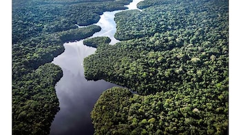 La sequía más severa en 30 años amenaza el equilibrio ecológico de la Amazonía