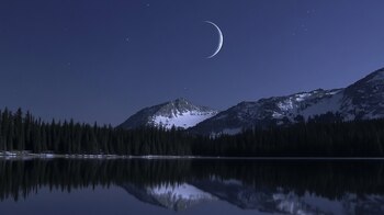 Durante las primeras semanas de