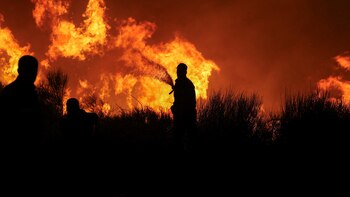 Cientos de bomberos luchan contra