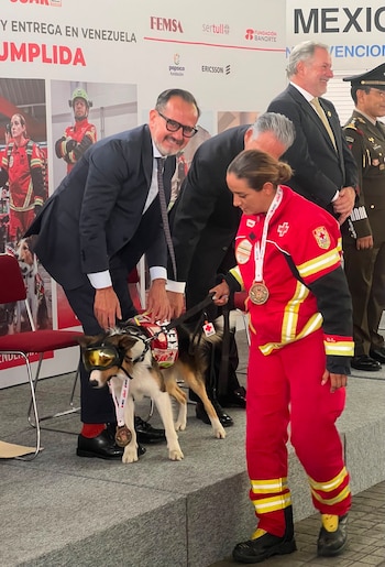 O SRE reconhece o trabalho das equipes de resgate mexicanas e destaca a solidariedade do México durante a emergência na Venezuela. (SRE)
