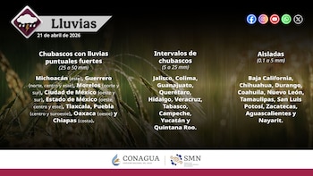 Imagen HHMLP6KWI5GUROASVXQXCFGSDA