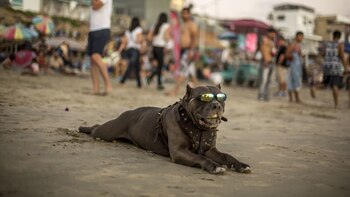 La canícula inició en 26