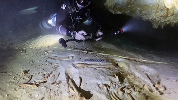 Descubren un esqueleto prehistórico en